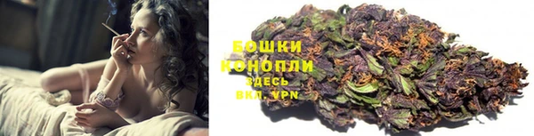 шишки Волоколамск