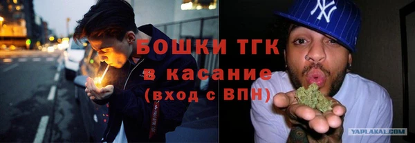шишки Волоколамск