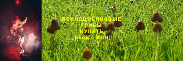 спайс Володарск