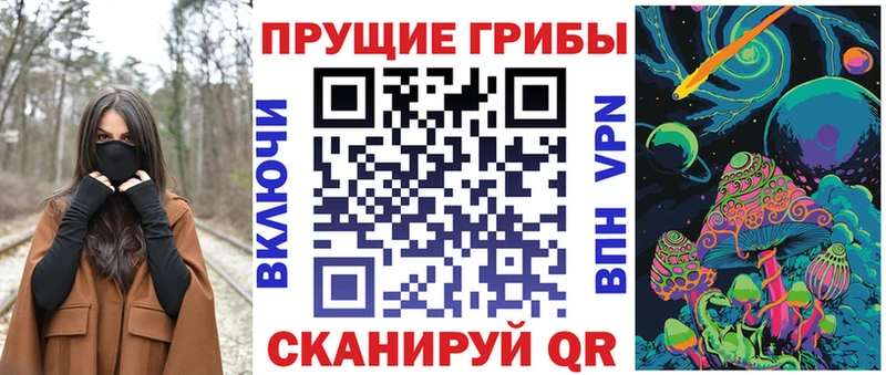 Галлюциногенные грибы мицелий  Купить закладки  Злынка 