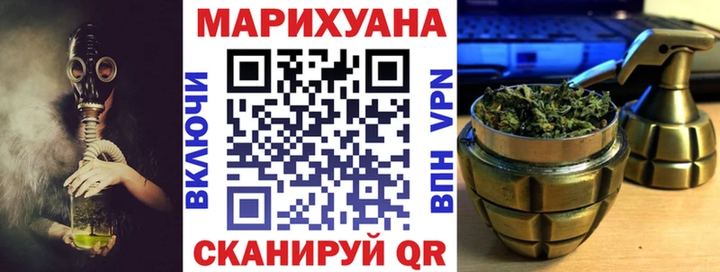 Купить где  Злынка  Каннабис сатива 